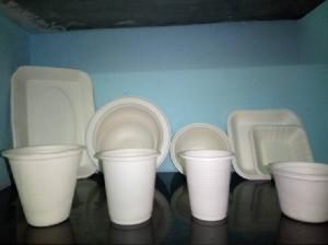 Biodegradable Paper Bowl & Glasses