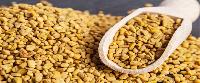 Fenugreek Seeds