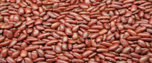 Kidney Beans