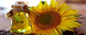 Sunflower Oil