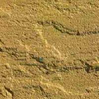 Lalitpur Yellow Sandstone Slabs