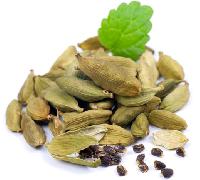 Green Cardamom