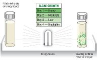 Algae Test Kit