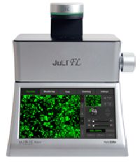 Fluorescence Live Cell Movie Analyzer