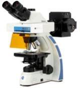 Fluorescence Microscopes