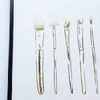 laboratory brushes