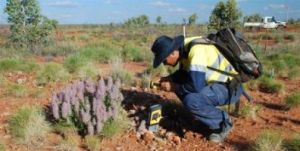 Research Handheld XRF Analyzer