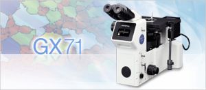 GX71 inverted microscope