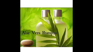 Aloe Vera Shampoo