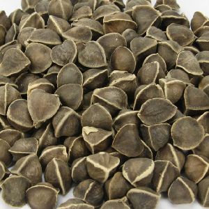 Dried Moringa seeds