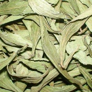 Stevia Leave