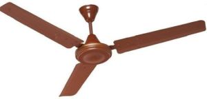 Ceiling Fans