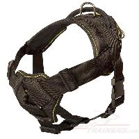 Dog Harness