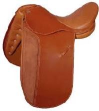 Dressage Saddles