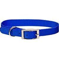 Dog Collar