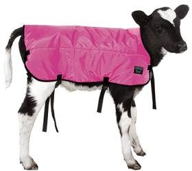 Calf Winter Blankets