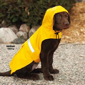 Dog Rain Coats