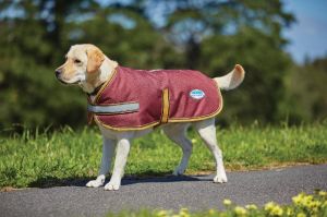 Dog Winter Coats