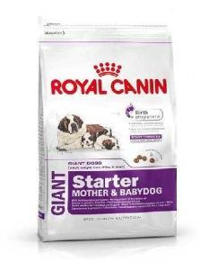 Royal Canin Giant Starter