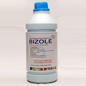 Albendazole Oral Suspension -500 ml