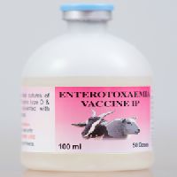 Enterotoxaemia Vaccine