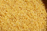 foxtail millet