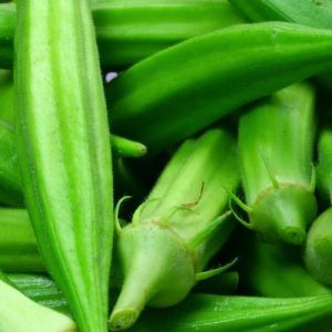 Fresh Okra