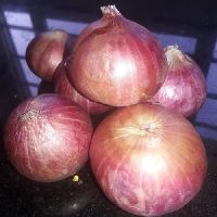 Red Onion