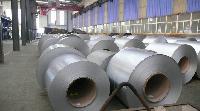 Galvanized Iron Coils & Sheets