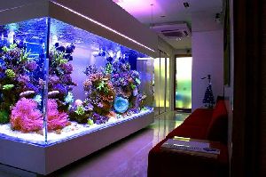 Designer Fish Aquariums