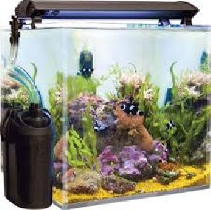 Filtered Fish Aquariums