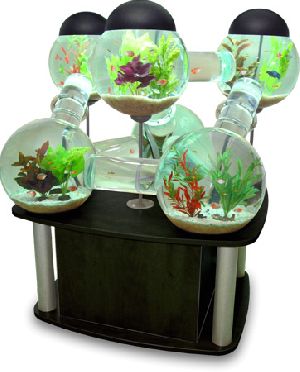Fountain Fish Aquariums