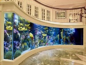 Wall Mounted Fish Aquariums