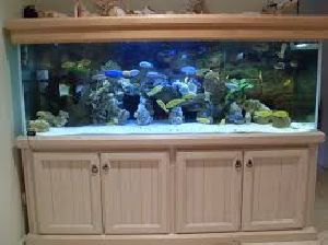 Wooden Fish Aquariums