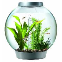 Aquarium Fish Bowl