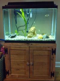 Fish Aquarium Stand
