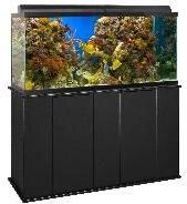 aquarium stands