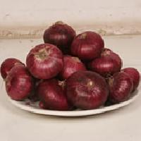 red-onion03