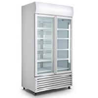 Double Door Visi Cooler