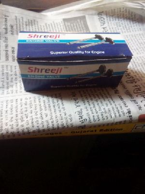 Shreeji engine valve