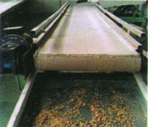 Belt Conveyor