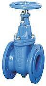 VAG KFS Gate valve