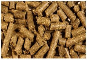 cattle feed pellet