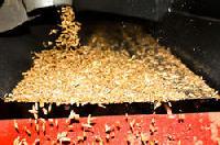 grain cleaning services