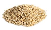 Quinoa