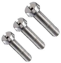 Stainless Steel Screw