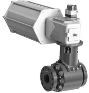 Control Ball Valves