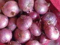 Fresh Onion