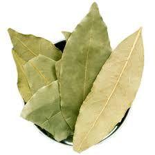 bay leaves powder