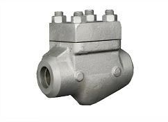 Lift Check Valve